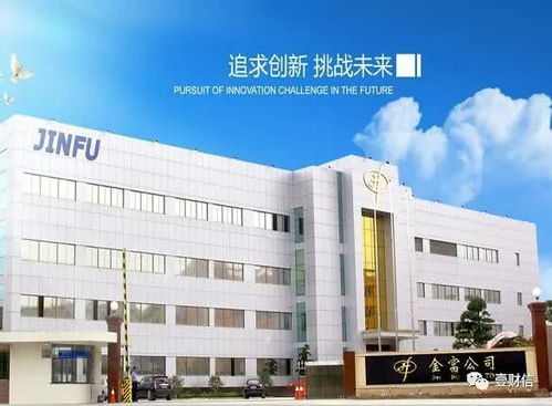 金富科技銷(xiāo)售費(fèi)用率高,近萬(wàn)平方米房產(chǎn)建設(shè)或違規(guī)